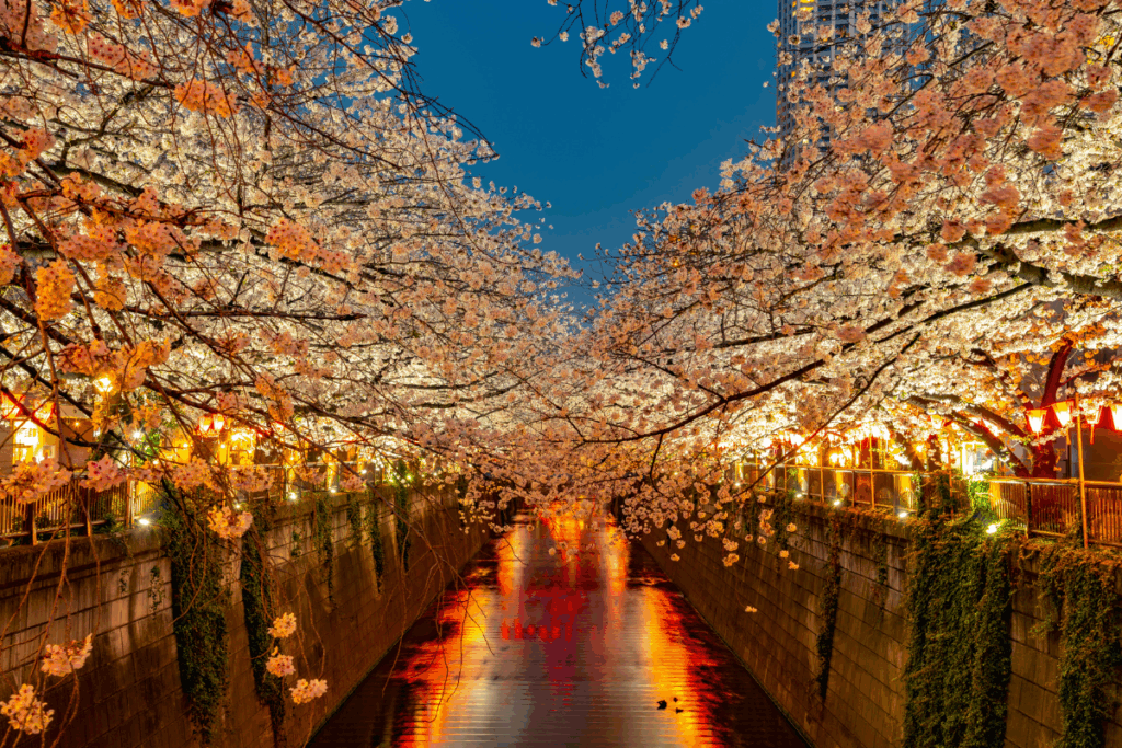 Traveling To Japan On A Working Holiday visa