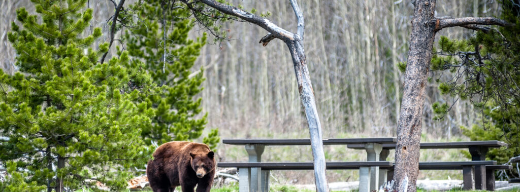 Amazing experiences everyone needs to have in Canada