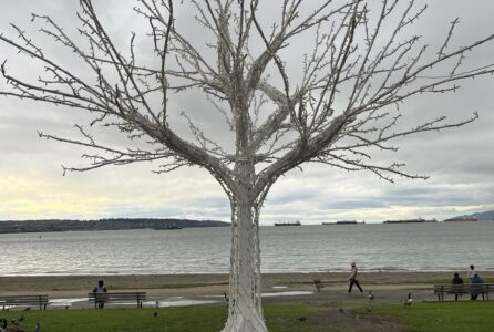 Canada Working Holiday