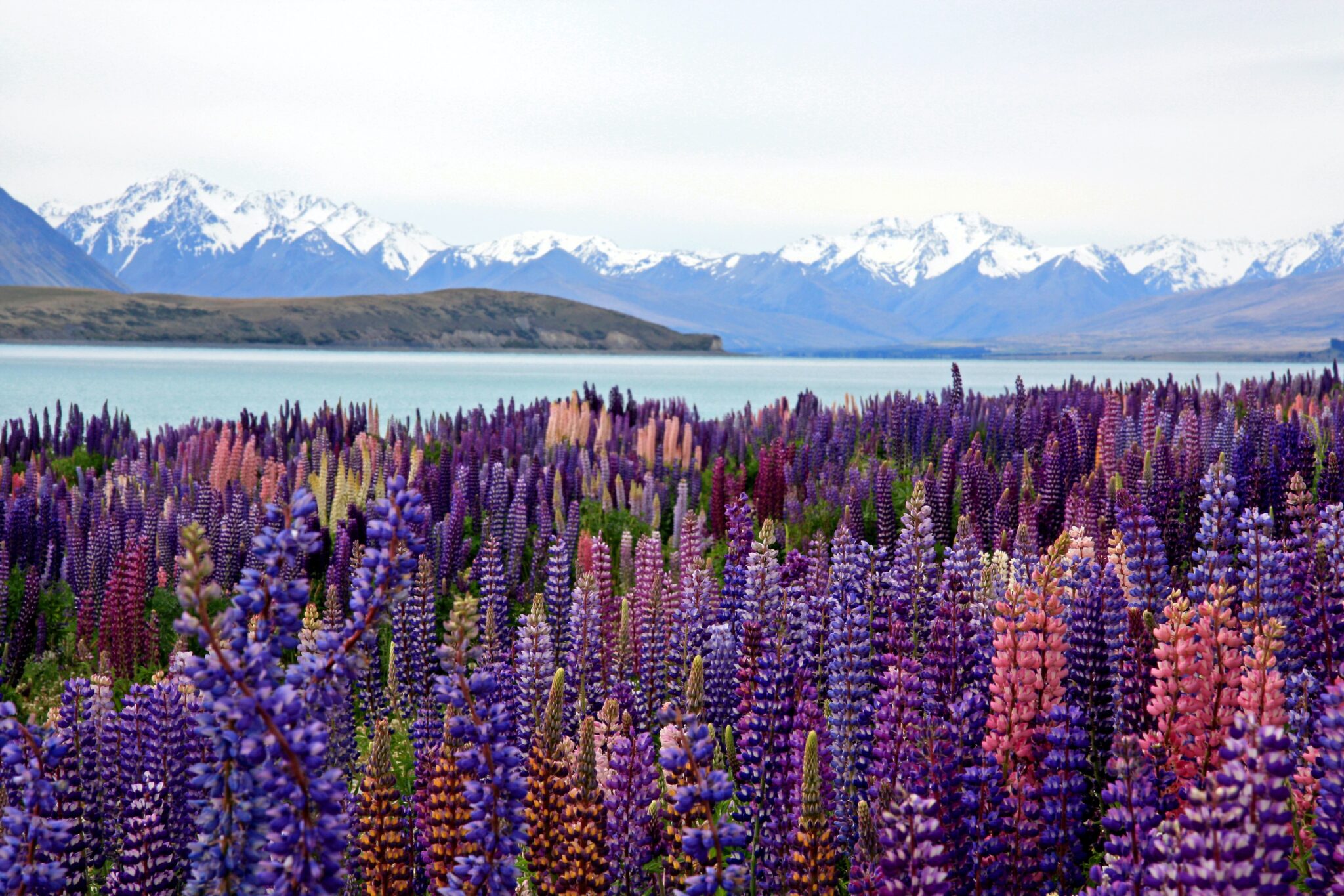The Most Beautiful Country - New Zealand