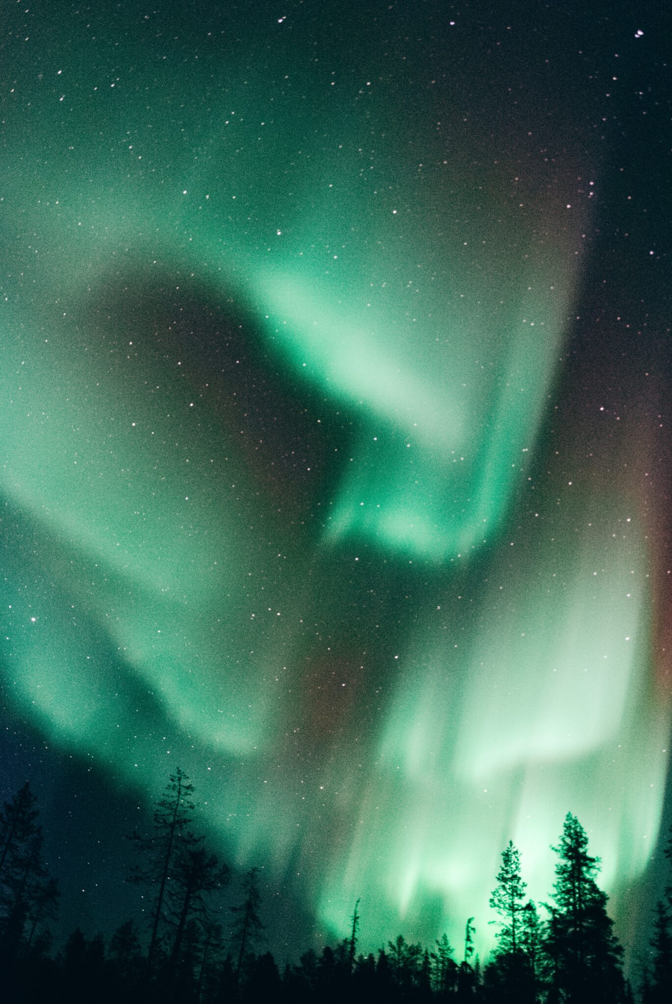 Watch The Northern Lights In Canada