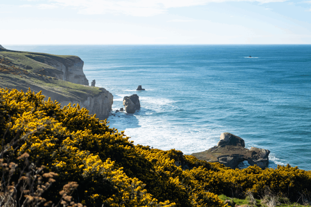 New Zealand: What To Know Before Moving