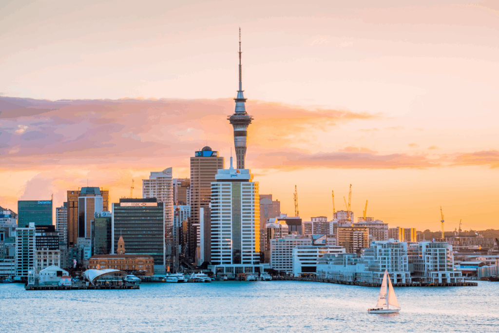 Most In Demand Jobs In New Zealand For 2023