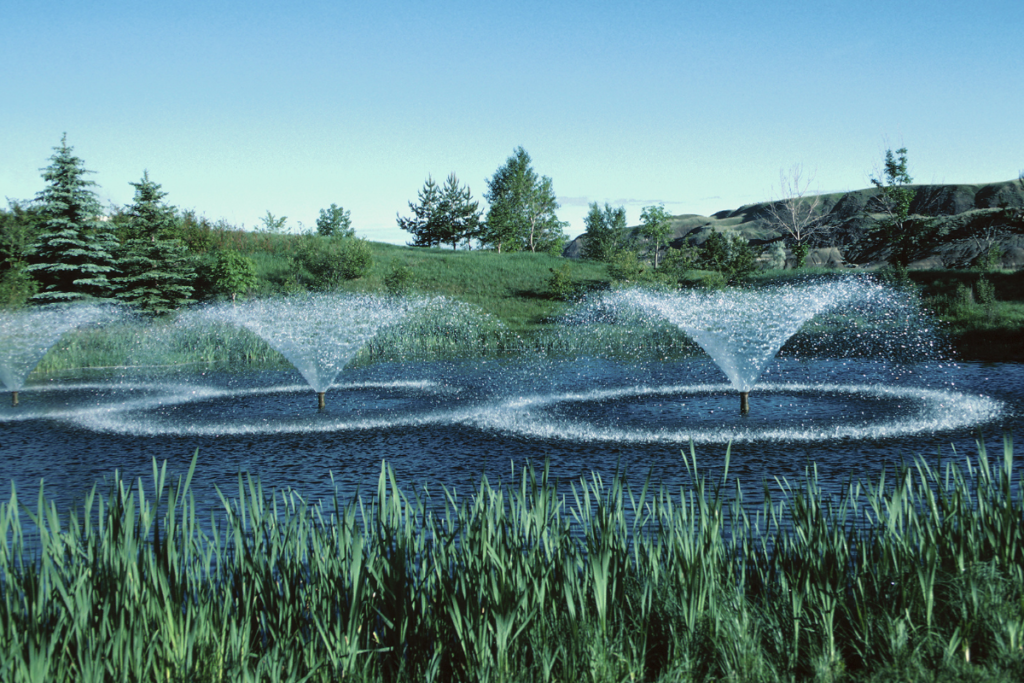 Life in Canada with Kids: Royal Tyrell Museum