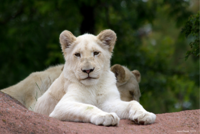 #ExploreCanada - 10 fun things to do in Toronto without breaking the bank