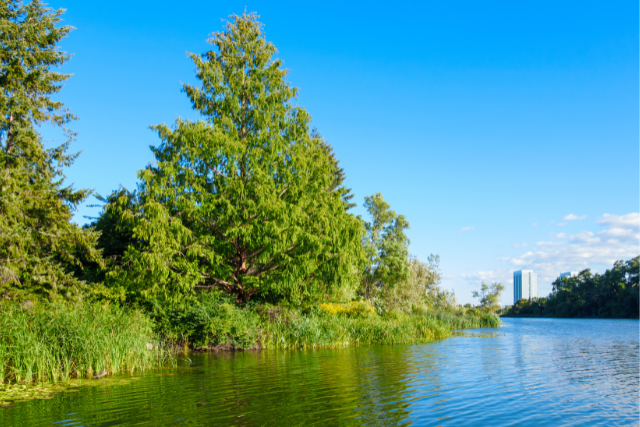 #ExploreCanada - 10 fun things to do in Toronto without breaking the bank