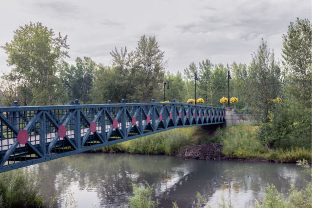 #Explorecanada - best things to do in calgary.