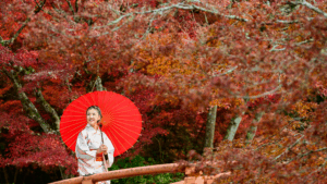 Must-Visit Places in Japan