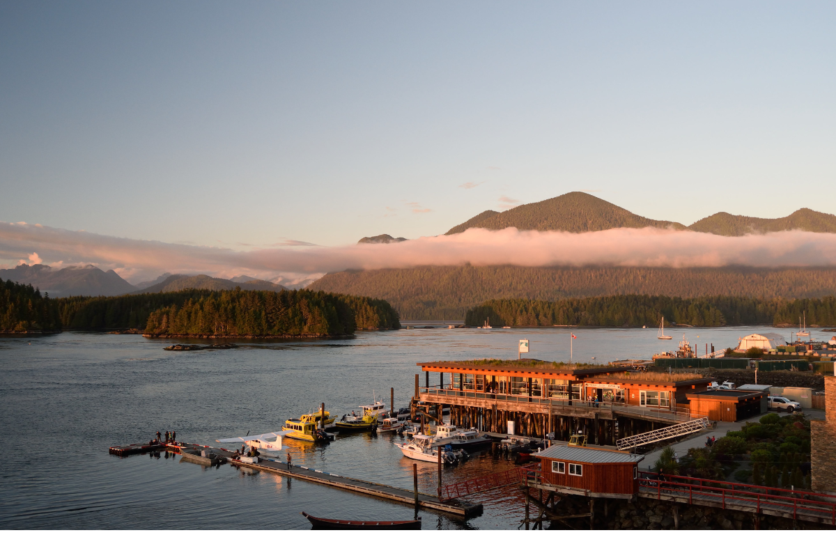 Explore the Wild Beauty of Tofino A 7-Day Adventure in British Columbia